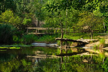 Fototapeta na wymiar Lake with a bridge. Cozy rest. Abandoned reservoir. Leisure time in nature. Bridge in the swamp