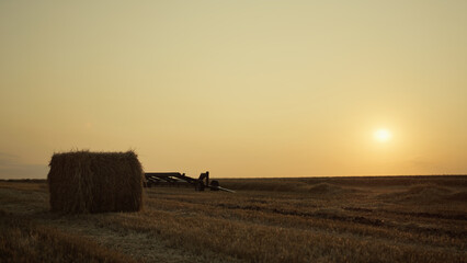 Fototapeta premium Hay bale on wheat field with harvesting equipment at golden sunset. Agro concept