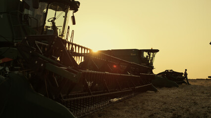 Combine silhouette at golden sunset farmland. Seasonal grain harvesting time.