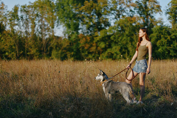 Volunteer woman walking with her husky dog ​​on a leash in a field on the way to the forest in nature, hiking with a dog under the sunset in autumn
