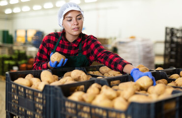 Hardworking young farmer woman inspects potatoes from crates working in the production of a...