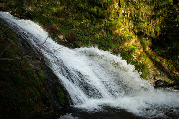 waterfall in the forest