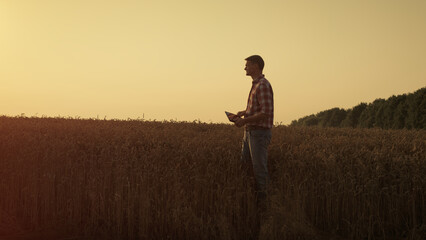 Agronomist observing wheat field on harvesting season. Man holding digital pad