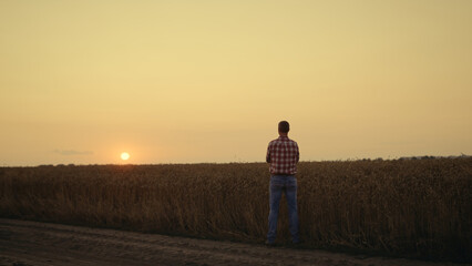 Silhouette farmer agronomist looking harvest at sunset wheat barley field alone. - obrazy, fototapety, plakaty