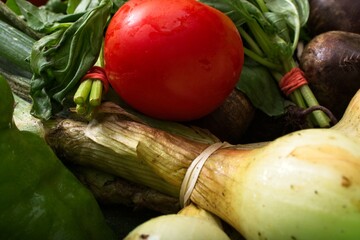 Fresh summer crop farmer’s market vegetables