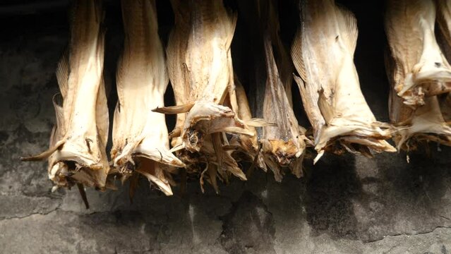 Dried cod outside a house in Faroe Islands. Dried fish on a rack in Tjornuvik.