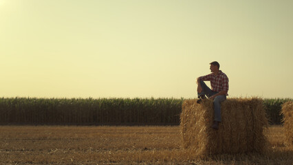 Farmer resting hay stack in autumn evening. Focused worker inspecting harvest © stockbusters