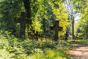 Moss covered cross gravestones by dirt path. Abandoned greveyard 1800s. Green sunlit forest in the morning. Trees and bushes. Horizontal outdoor shot. High quality photo