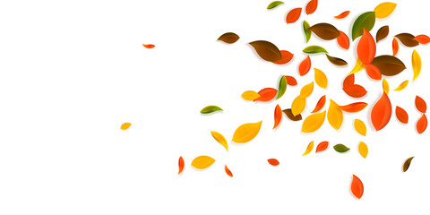 Falling autumn leaves. Red, yellow, green, brown c