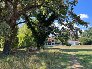 The park of the Tikves Castle in Kopacki rit Nature park or Park next to Tito's castle - Lug, Croatia (Park uz dvorac Tikve&scaron; ili Perivoj Titovog dvorca, Park prirode Kopački rit - Baranja, Hrvatska)