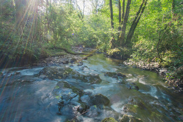 Obraz premium Cascade du Gour Saillant ou Saint-Priest-des-champs, le Chalamont rencontre la Sioule sous la forme d'une jolie cascade de 10m de haut, dans les bois.