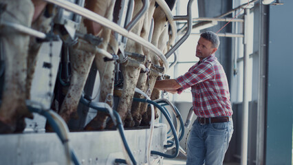 Farm worker checking milking automat on mechanical facility. Man inspecting barn - obrazy, fototapety, plakaty