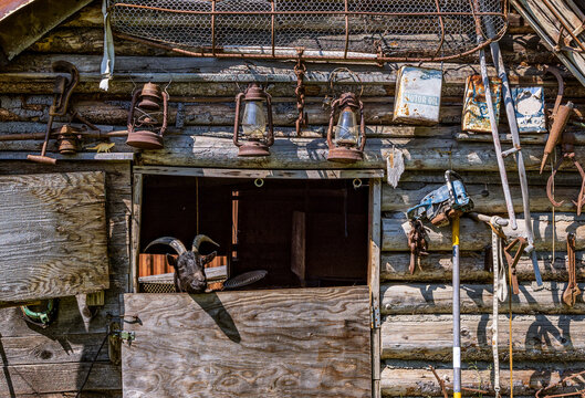 Goat Peaking Out Of Log Cabin Dutch Door Surrounded By Decorative Wall Hangings. 