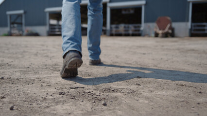 Agronomist legs walking farm yard to barn with cows close up. Agro worker feet. © stockbusters