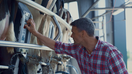 Farmer checking milking technological system in dairy manufacture close up.