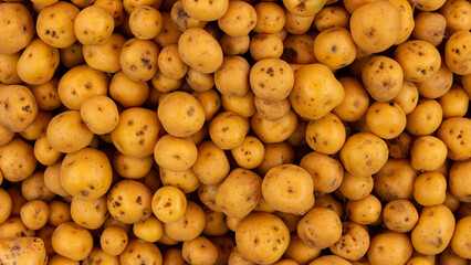 Solanum phureja - Creole potato at farmers' market