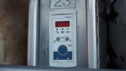 Cow milking system device displaying information about production process.