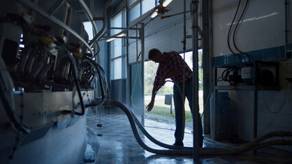 Farmer washing milking system in technological farm using hose. Dairy technology