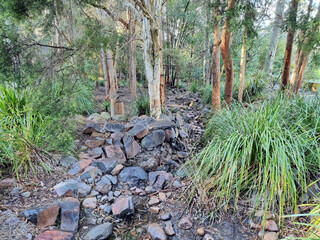 Creek Bed Running Through Australian Bush at Blackbutt Reserve Newcastle New South Wales Australia. A rocky creek surrounded by eucalypts