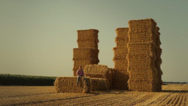 Farmer resting hay stack in sunset sunlight. Farmland owner inspecting stubble