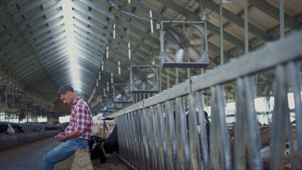 Farm barn owner sitting on farmland facility with cows herd resting after work. 