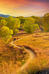 Fototapeta premium A path through a golden field, in the mountains of Prescott Arizona