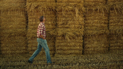 Farmer walking hay stack at agricultural farmland. Worker inspecting rolls pile