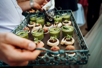 Snacks on a tray for a banquet. Green soup in small glasses