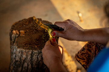 Rasapa&ccedil;&atilde;o do Cip&oacute; (jagube)