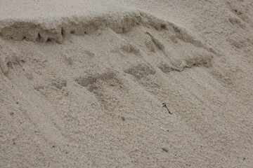 Sand Dune Texture During Summer Blown Under The Wind Breeze created vertical and horizontal ripple pattern