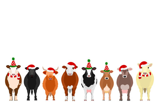 Christmas cows border