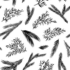 Fir and pine cones vector seamless pattern, evergreen elements. Hand drawn black winter symbols, botanical ornament. Winter holiday background. Seamless pattern with Christmas tree and pine branches