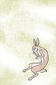 抹茶色images Browse 239 Stock Photos Vectors And Video Adobe Stock