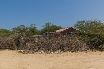Bush fence in Berbera, Somaliland