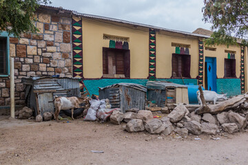 Goat enclosure in Hargeisa, capital of Somaliland