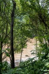 dirty river seen through the huentitan ravine in guadalajara, green vegetation, trees, plants and mountains, mexico