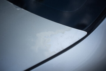 Car blister paint, uneven surface, technology, damage