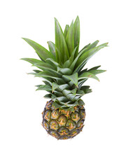 small pineapple