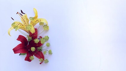 A bright floral arrangement with yellow and red lilies on a white background. Bright colors. Background for a greeting card.