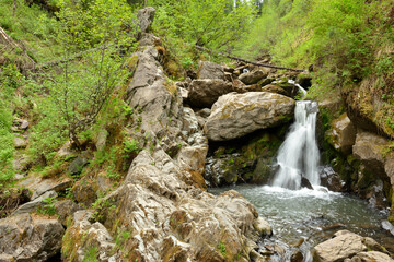 A small waterfall flows into a stone backwater in the morning forest after rain.