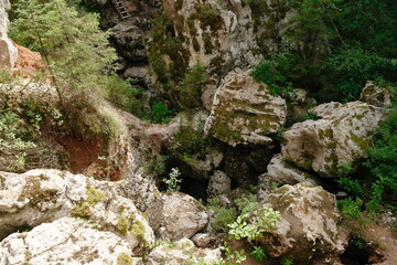 view of the forest from the height of karst rocks