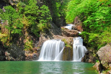 Fototapeta na wymiar 広島県三段峡 新緑の三ツ滝