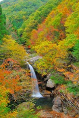 広島県三段峡 魚切滝の紅葉