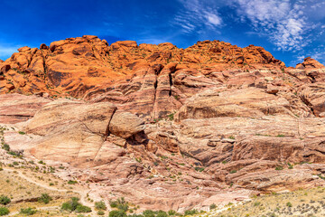 Fototapeta premium Red Rock Canyon, Nevada, USA