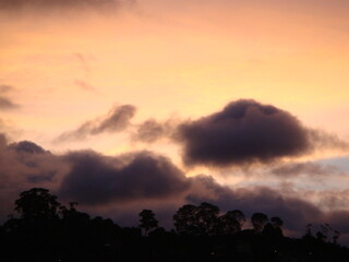 Ocaso Vlll