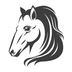 Stallion head sketch