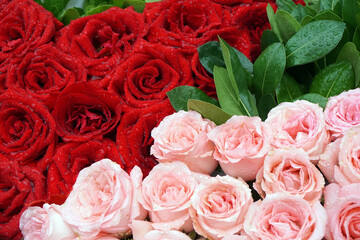 Roses at the wedding day