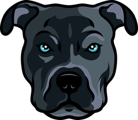 Head of American Bully Dog XL Size