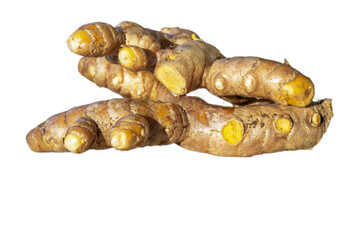 fresh turmeric isolated on white.