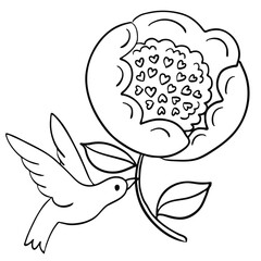 Fototapeta premium bird flower black white line art illustration